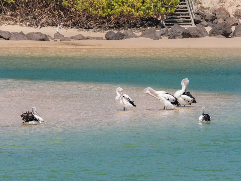 107/78-80 Marine Parade, Kingscliff NSW 2487