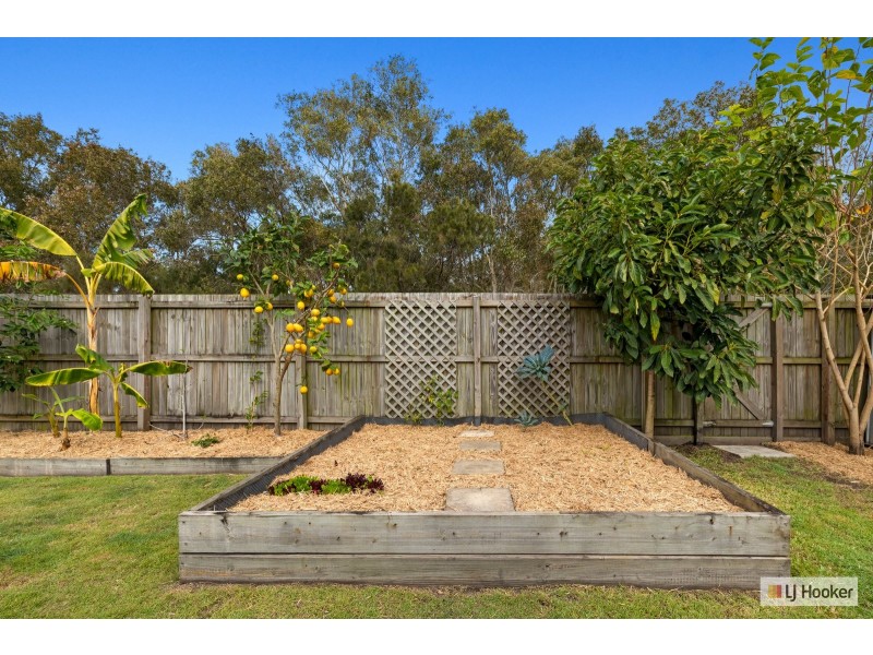 67 Grass Tree Circuit, Bogangar NSW 2488