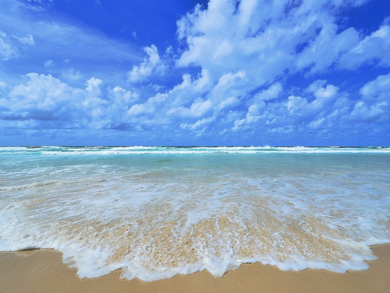 2216/9 Gunnamatta Avenue, Kingscliff NSW 2487