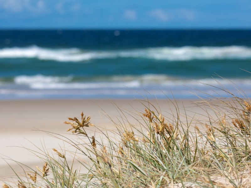 21 Sea Eagle Court, Casuarina NSW 2487