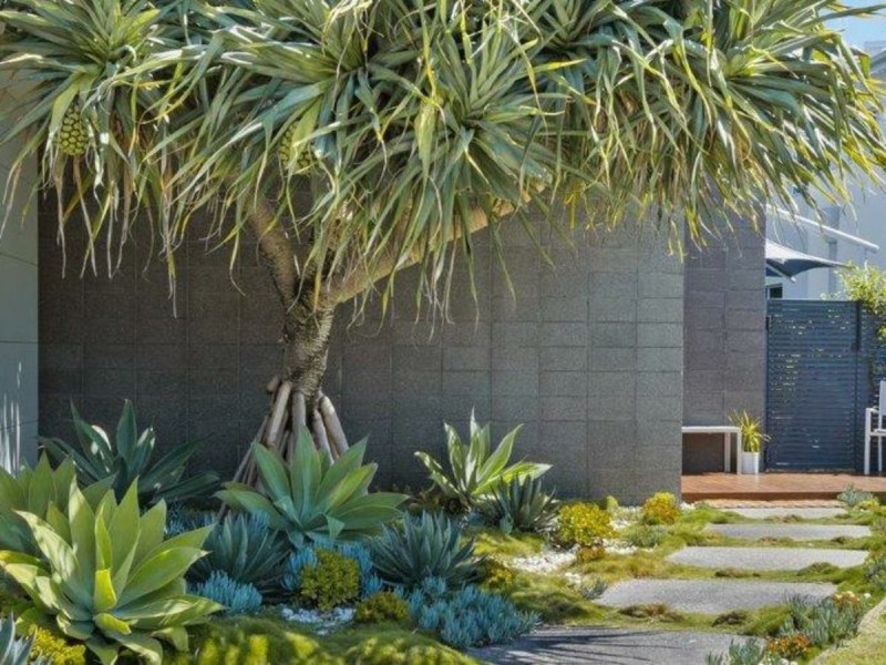 4 Harpullia Court, Casuarina NSW 2487