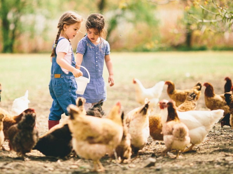 Lot 7/101 Cudgen Road, Cudgen NSW 2487