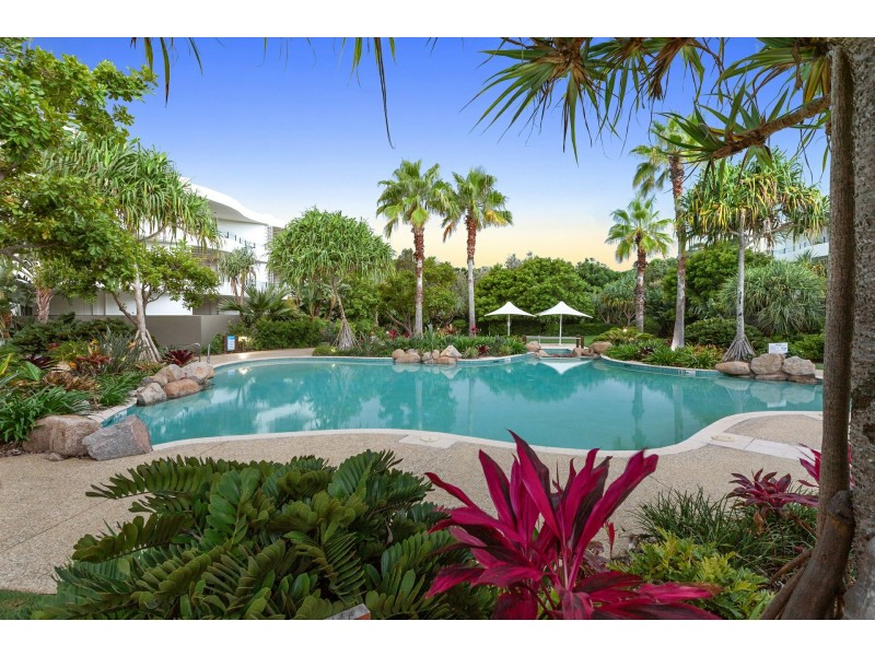 61/685 Casuarina Way, Casuarina NSW 2487