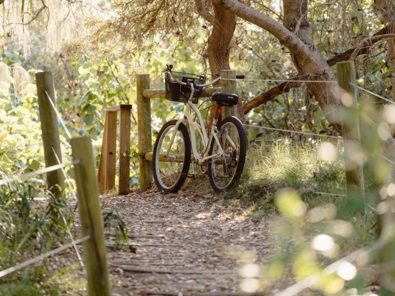 47 Cylinders Drive, Kingscliff NSW 2487