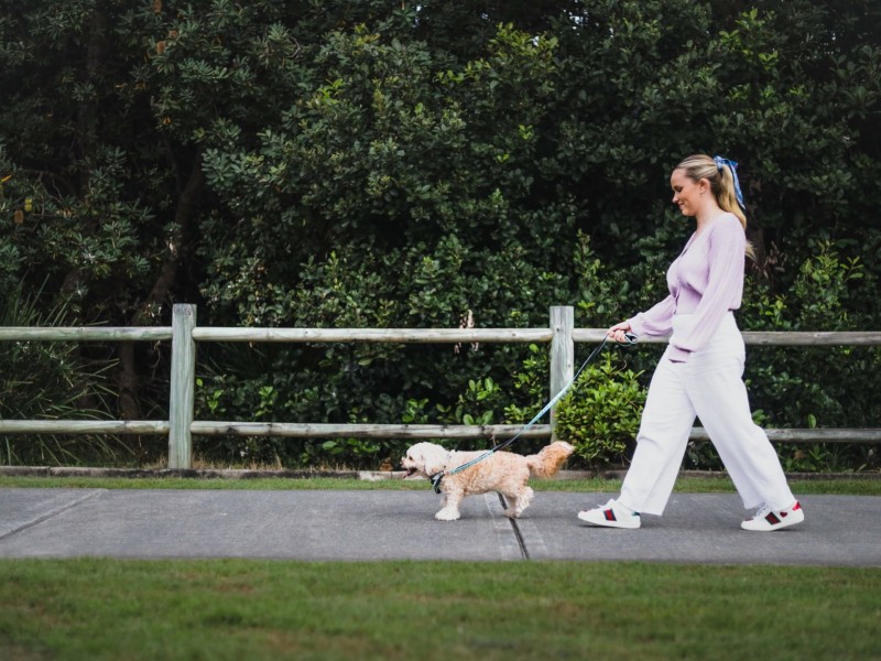 47 Cylinders Drive, Kingscliff NSW 2487