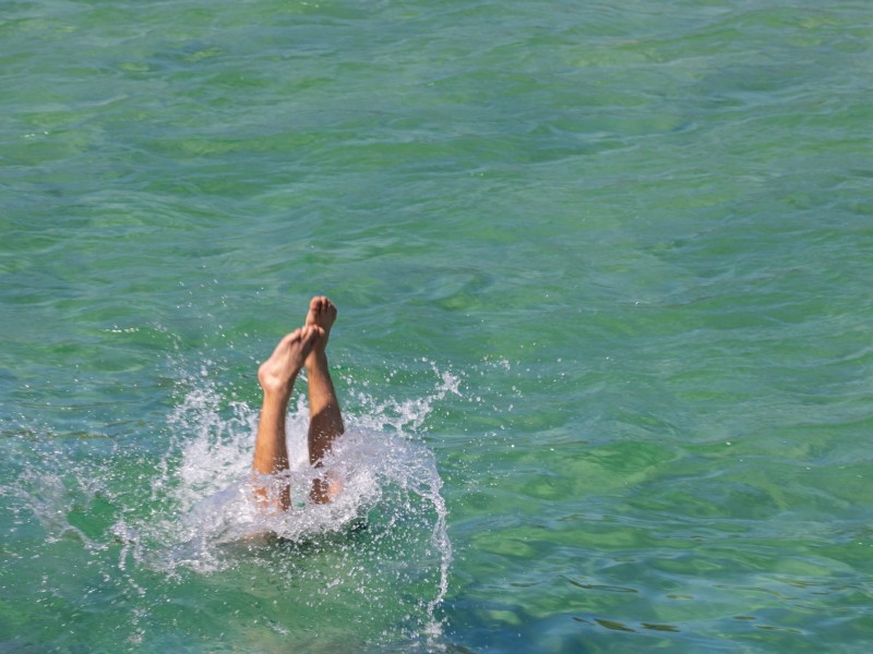 16 Habitat Drive, Casuarina NSW 2487