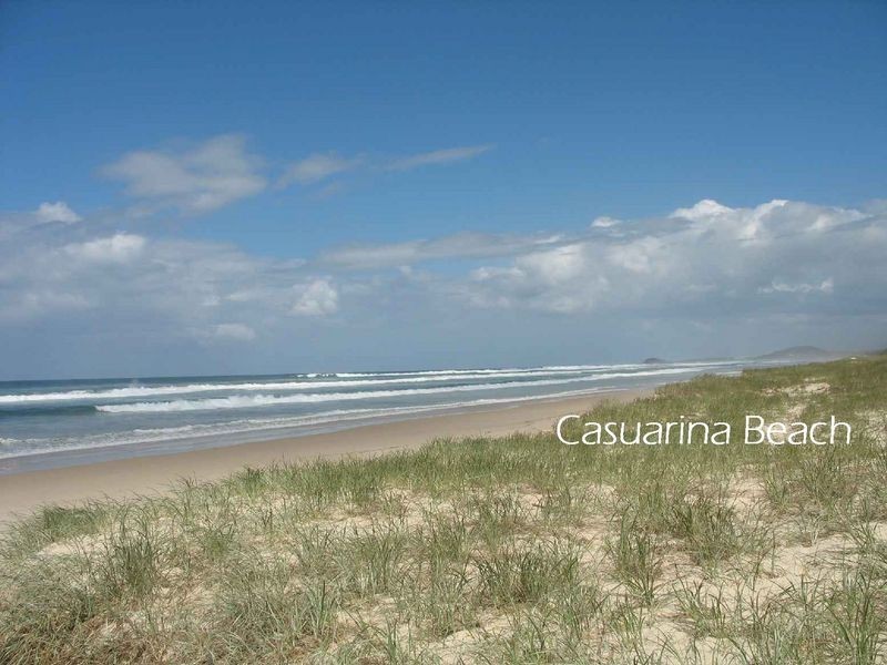 51 She-Oak Lane, Casuarina NSW 2487