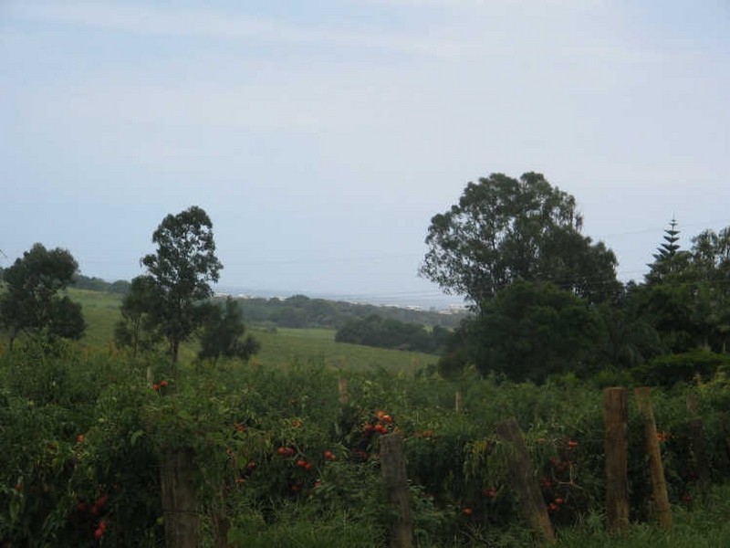 543 Cudgen Road Cudgen, Kingscliff NSW 2487