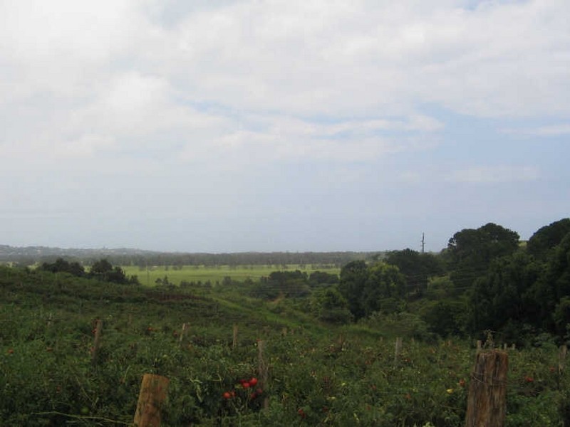 543 Cudgen Road Cudgen, Kingscliff NSW 2487