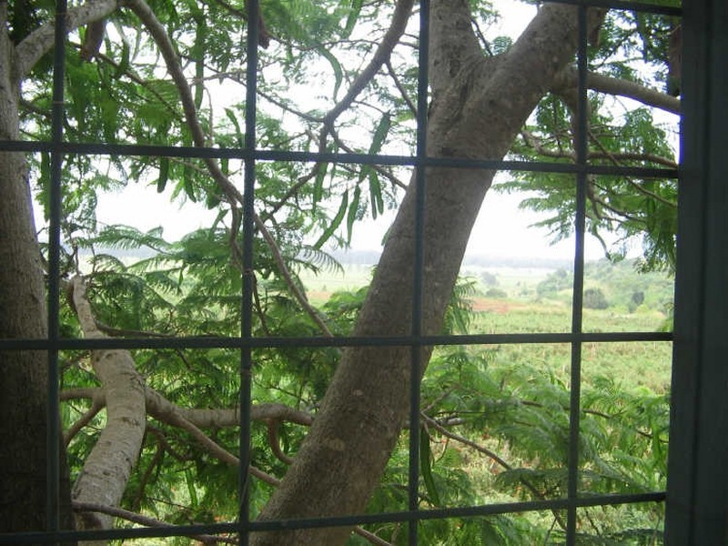 543 Cudgen Road Cudgen, Kingscliff NSW 2487