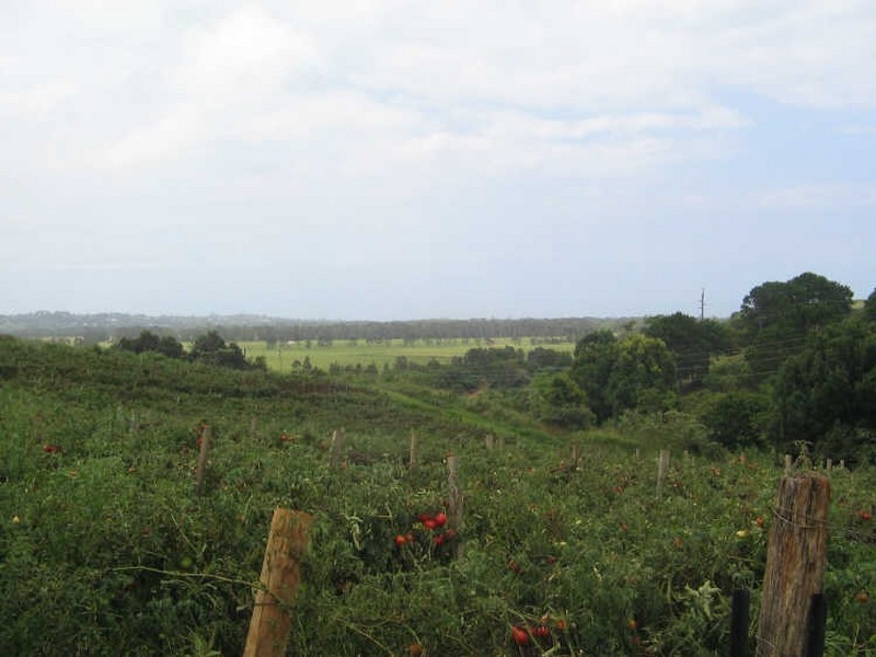 543 Cudgen Road Cudgen, Kingscliff NSW 2487