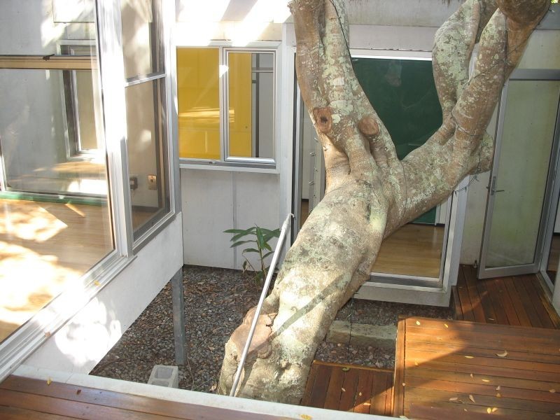 Fingal Head NSW 2487