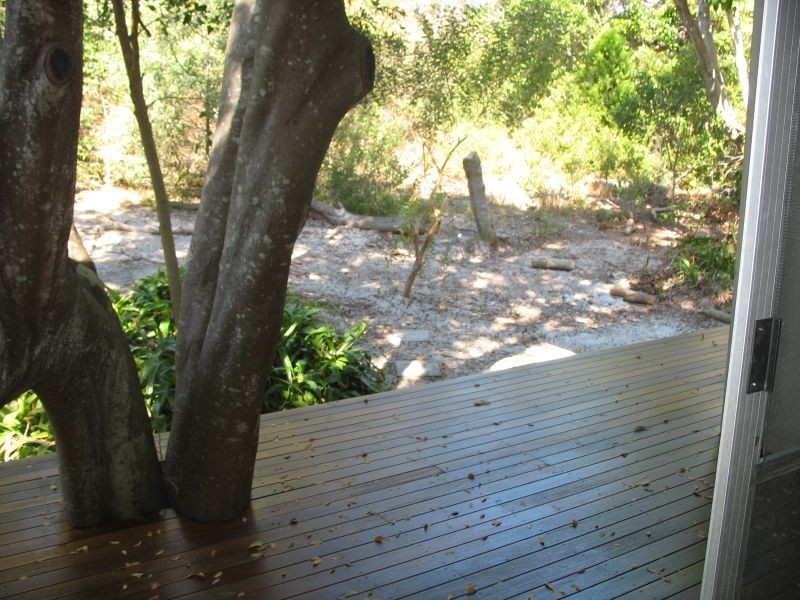 Fingal Head NSW 2487