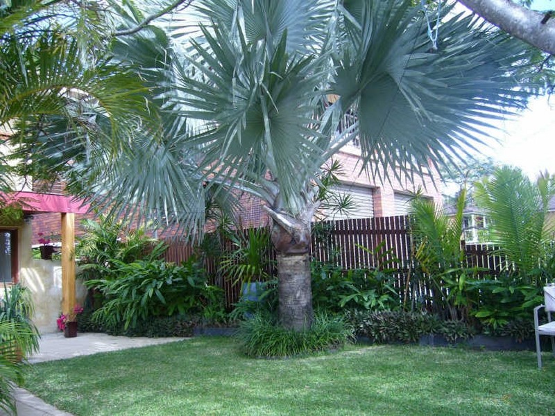 26 McPhail Avenue, Kingscliff NSW 2487