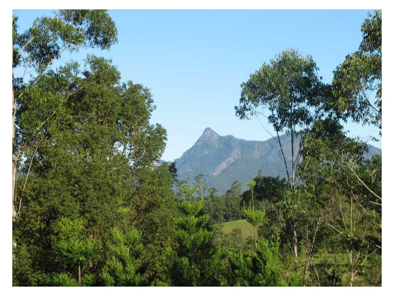 325 Limpinwood Valley Road, Limpinwood NSW 2484