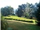 325 Limpinwood Valley Road, Limpinwood NSW 2484