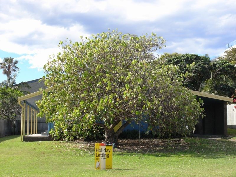 18 Hastings Road, Cabarita Beach NSW 2488