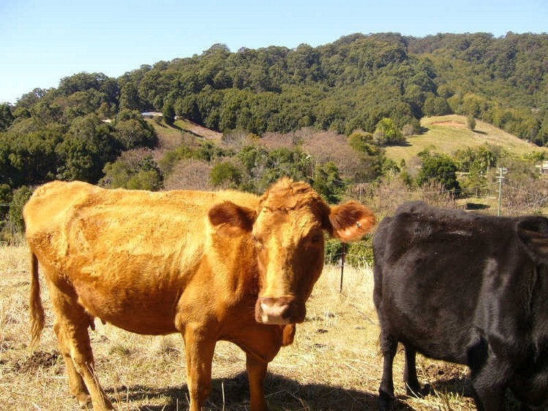 Burringbar NSW 2483