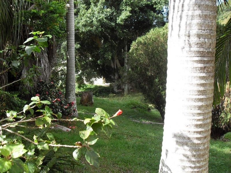 9 Bimbadeen Avenue, Banora Point NSW 2486