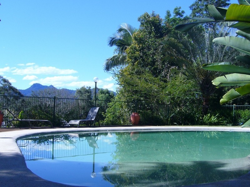 Crystal Creek NSW 2484