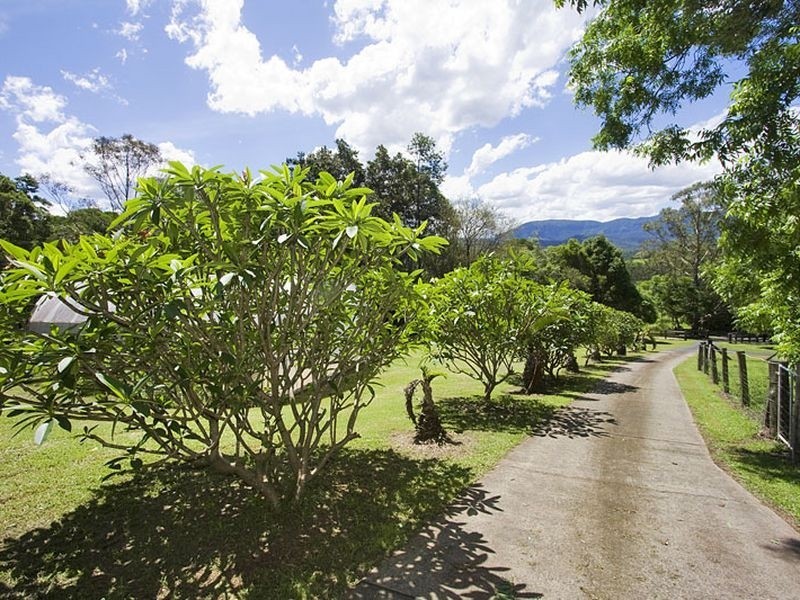 Crystal Creek NSW 2484