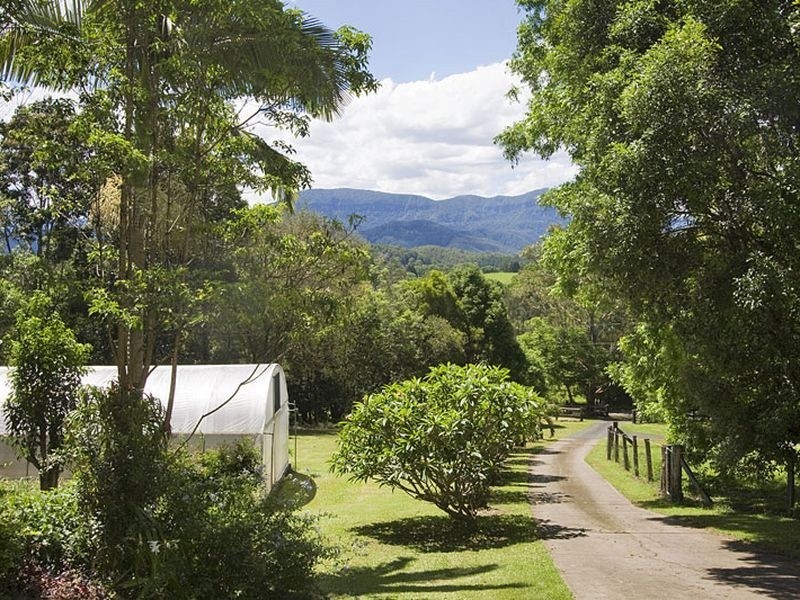 Crystal Creek NSW 2484