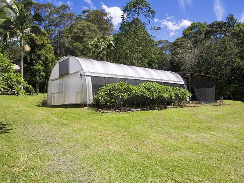 Crystal Creek NSW 2484