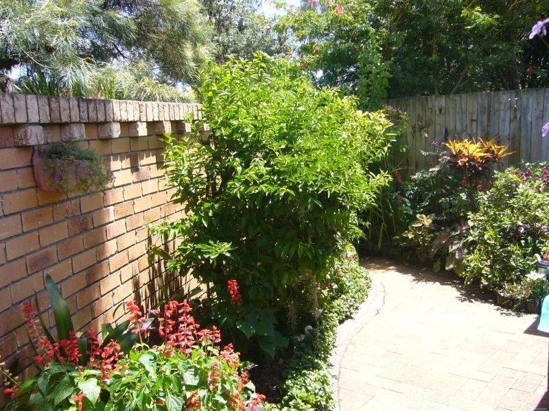 7/1-9 Blue Jay Circuit, Kingscliff NSW 2487