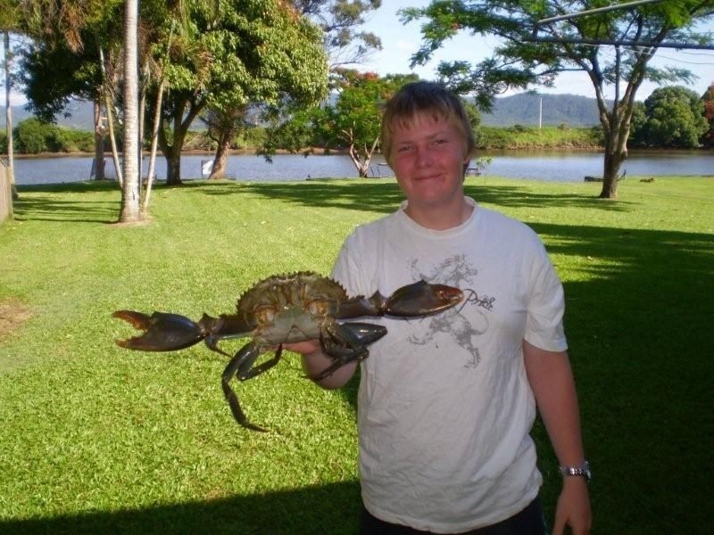 43 Tweed Valley Way, Murwillumbah NSW 2484