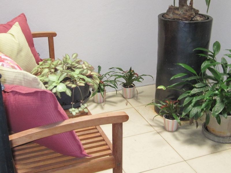 2/53-55 Kingscliff Street, Kingscliff NSW 2487