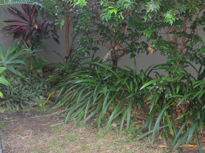 2/53-55 Kingscliff Street, Kingscliff NSW 2487