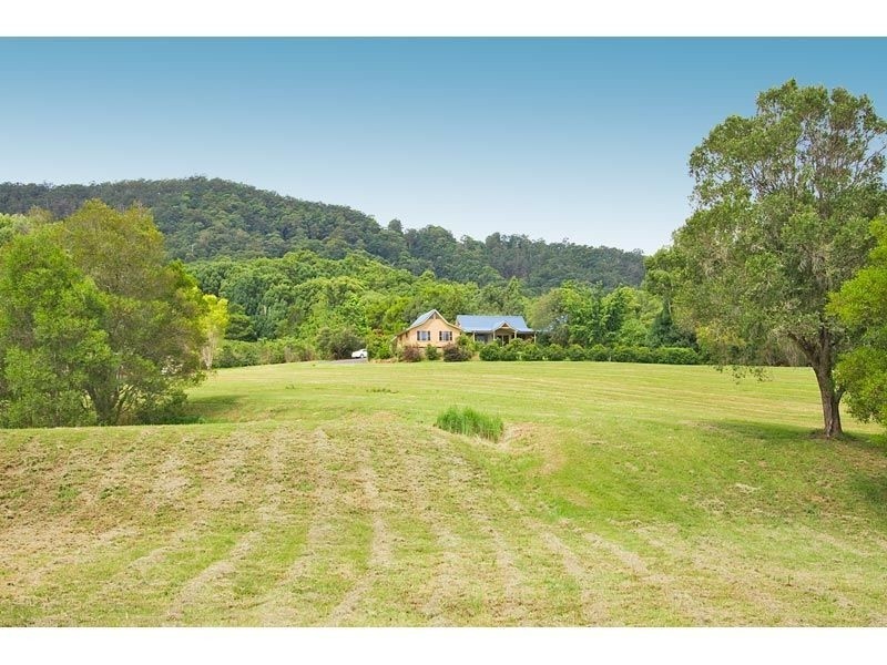 55 Hoop Pine Road Dulguigan, Murwillumbah NSW 2484