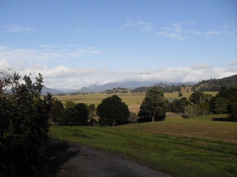 55 Hoop Pine Road Dulguigan, Murwillumbah NSW 2484