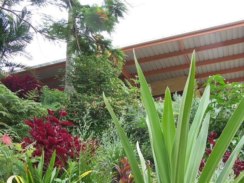 729 Dulguigan Road, Tumbulgum NSW 2490