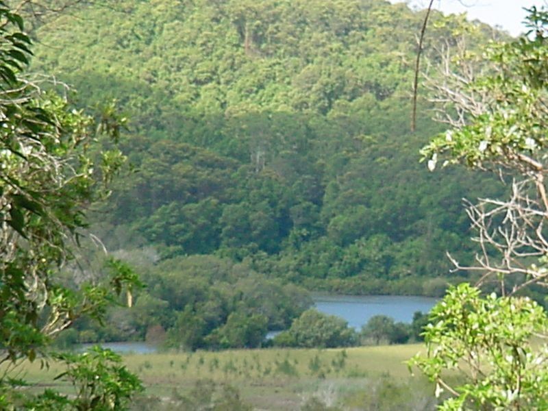 729 Dulguigan Road, Tumbulgum NSW 2490