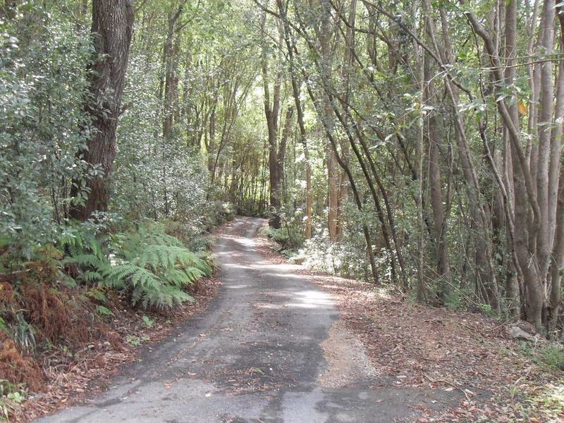 157 Hawkens Lane, Eviron NSW 2484