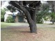 74 Kingscliff Street, Kingscliff NSW 2487