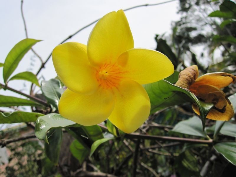 1/9 Rutile Street, Chinderah NSW 2487