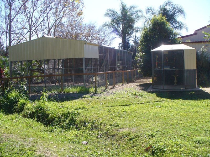 2 Crooks Valley Road, Crystal Creek NSW 2484