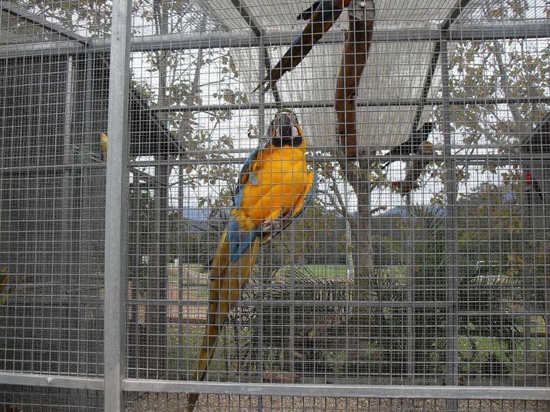 2 Crooks Valley Road, Crystal Creek NSW 2484