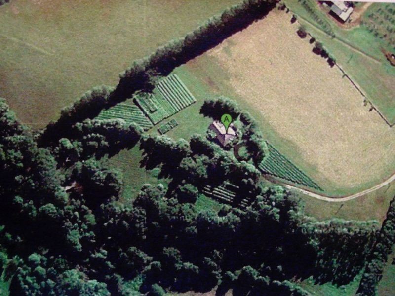 325 Limpinwood Valley Road, Limpinwood NSW 2484