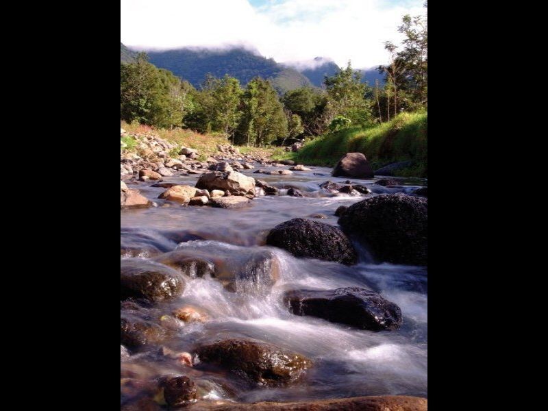 325 Limpinwood Valley Road, Limpinwood NSW 2484