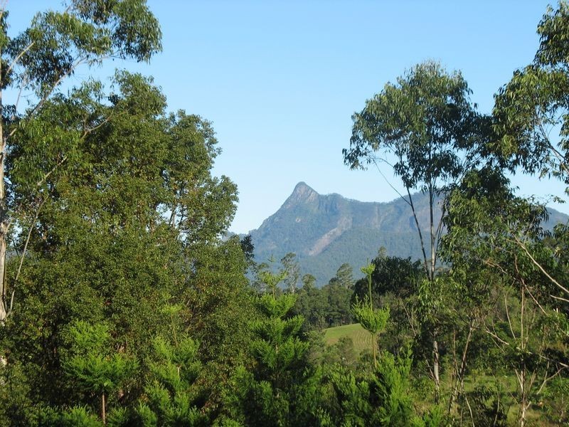 325 Limpinwood Valley Road, Limpinwood NSW 2484