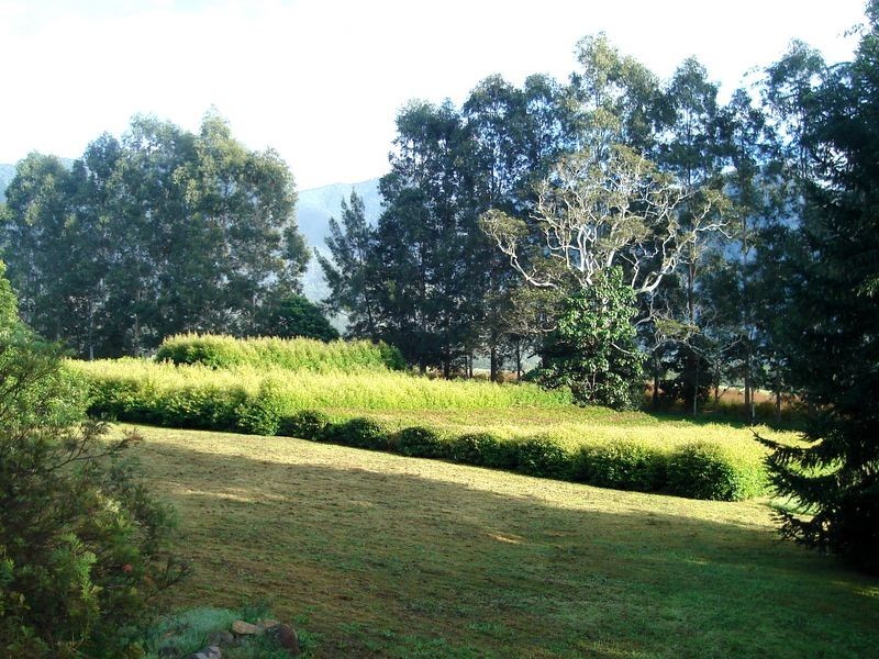 325 Limpinwood Valley Road, Limpinwood NSW 2484