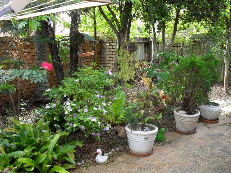 8/1-9 Blue Jay Cct, Kingscliff NSW 2487