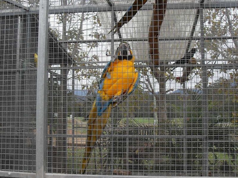 2 Crooks Valley Road, Crystal Creek NSW 2484