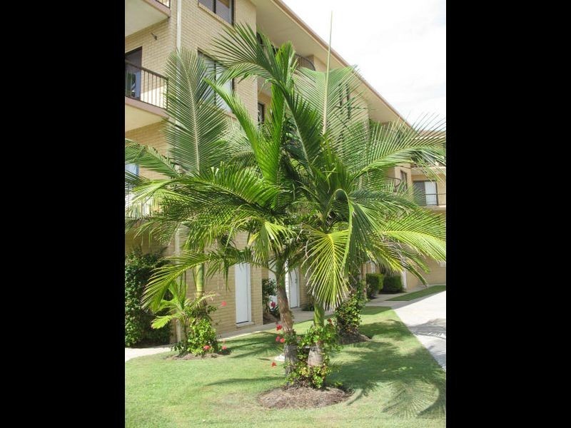 11/4 Pearl Street, Kingscliff NSW 2487