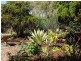 2 Shoal Place, Kingscliff NSW 2487