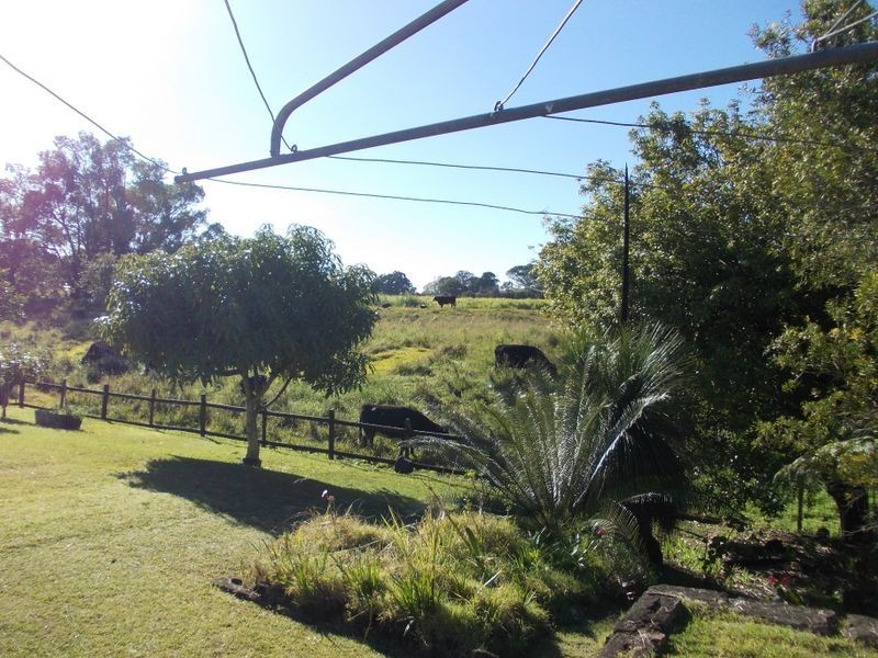 16 Charles Street, Murwillumbah NSW 2484