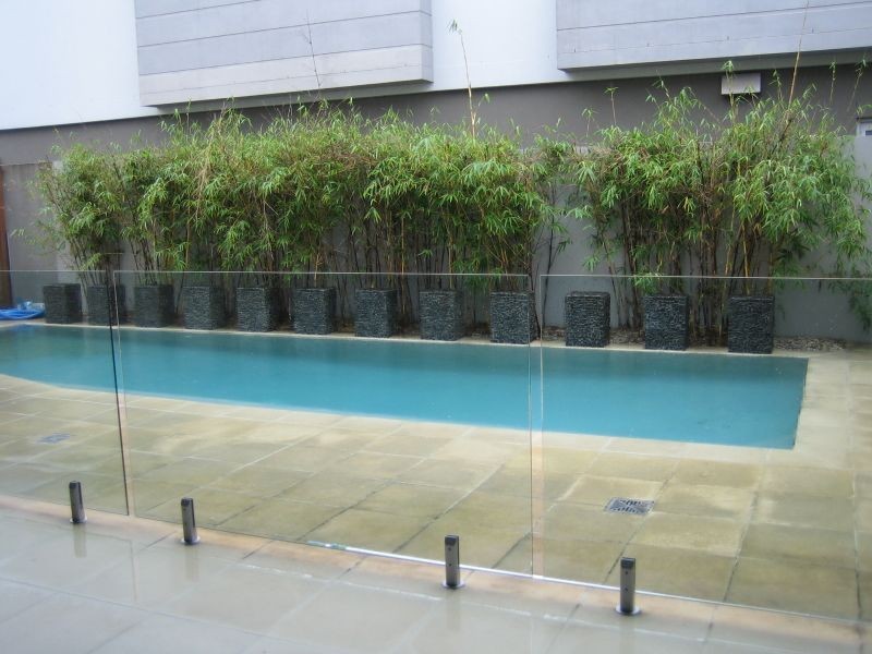 17 Elliston Street, Kingscliff NSW 2487